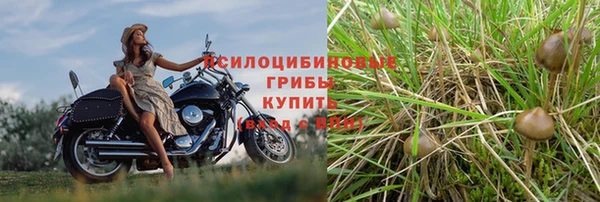 наркотики Медвежьегорск