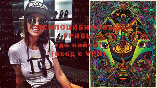 наркотики Медвежьегорск