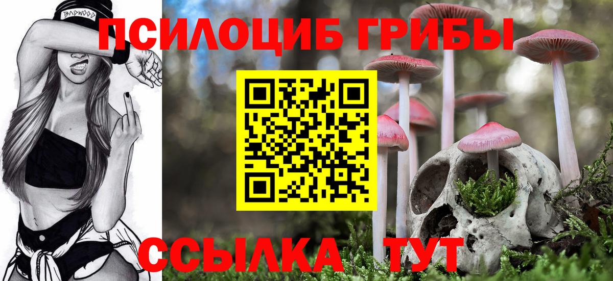 Галлюциногенные грибы Psilocybine cubensis Мурино