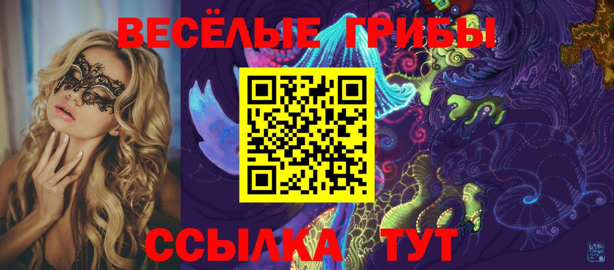Галлюциногенные грибы Psilocybe Мурино
