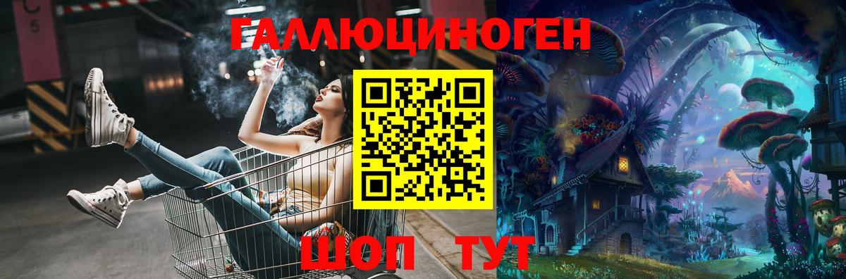 Галлюциногенные грибы Psilocybe  Мурино 