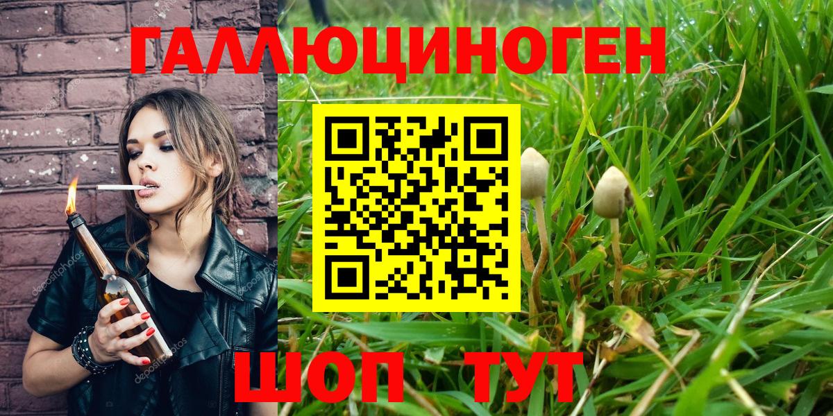 Галлюциногенные грибы Magic Shrooms  Вход с VPN  Псилоцибиновые грибы MAGIC MUSHROOMS  Мурино 